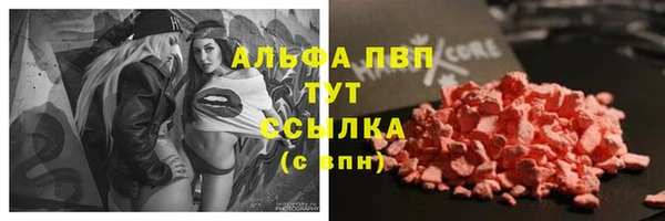 молекула духа Семилуки