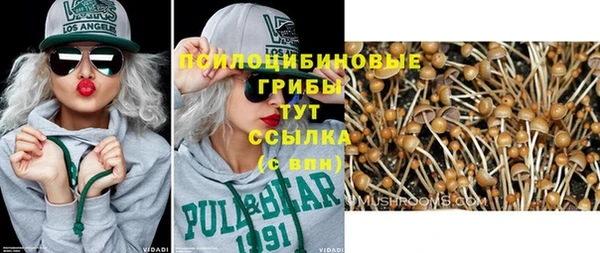 стаф Алексеевка
