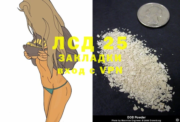 ешки Алзамай